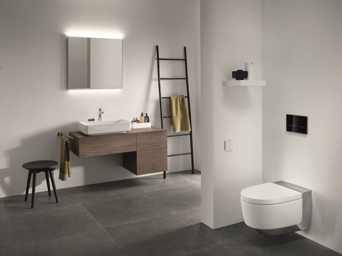 Level Up Your Bathroom Game with Geberit Modern Bathroom Fittings