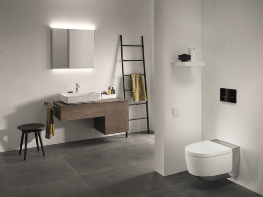 Level Up Your Bathroom Game with Geberit Modern Bathroom Fittings
