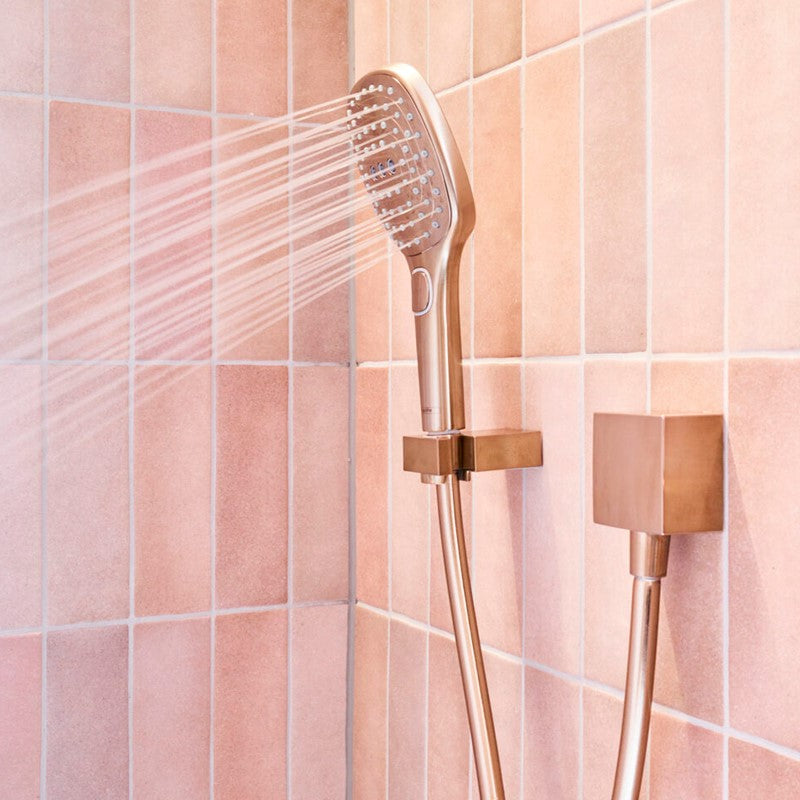Hansgrohe Raindance Select E Hand Shower 26520140