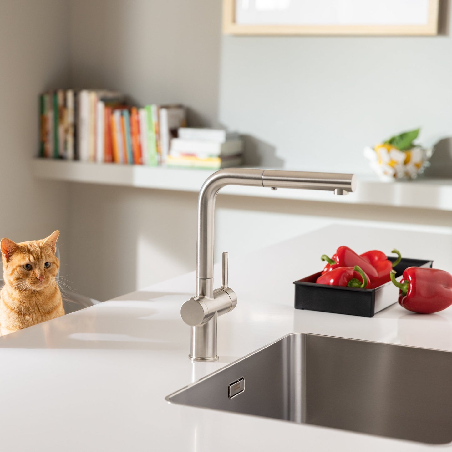 Franke Active Twist Kitchen Tap L-Shape Pull Out