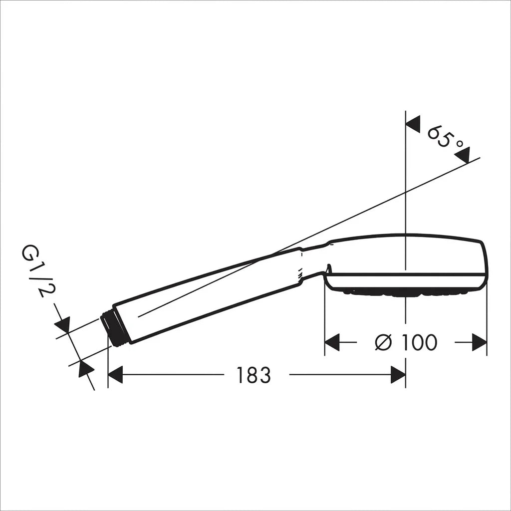 Hansgrohe Crometta 100 Hand Shower 26825400