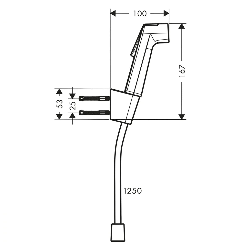Hansgrohe Bidette Hand Shower 29238340