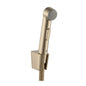 Hansgrohe Bidette Hand Shower 32129140