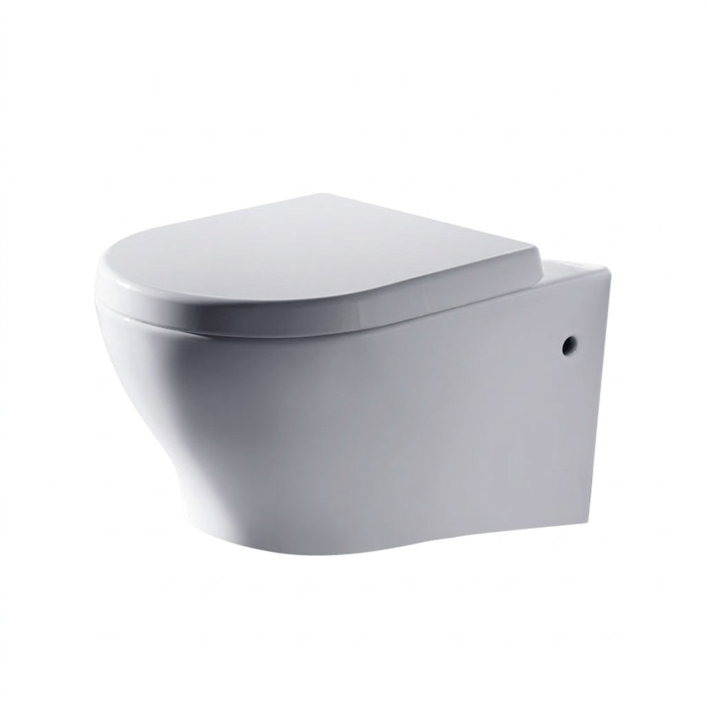 [Bundle Deal] Bravat Wall-hung Toilet C01017UW