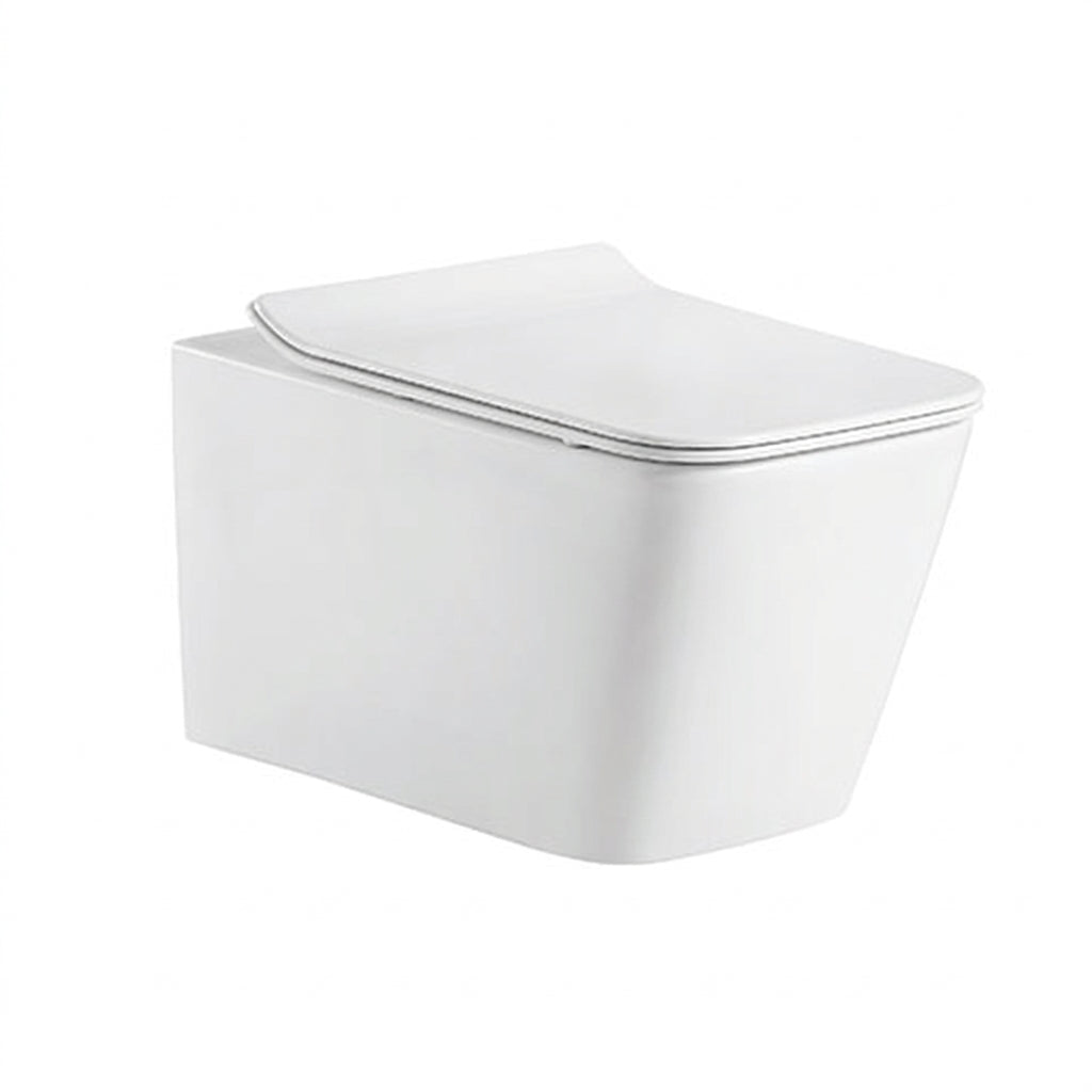 [Bundle Deal] Bravat Wall-hung Rimless Toilet C21201UW