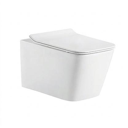 [Bundle Deal] Bravat Wall-hung Rimless Toilet C21201UW