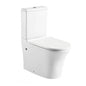 Bravat Close Coupled Toilet Bowl With Soft Close Seat Cover CX21214UW-P-RUS