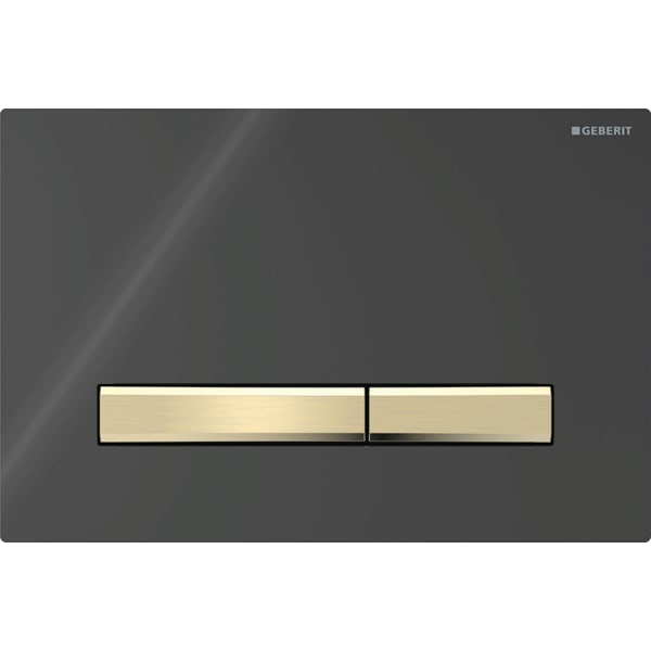 Geberit Sigma 50 with Dual Flush Actuator 115.672.DW.2 Black / Brass