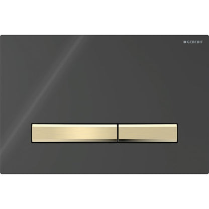 Geberit Sigma 50 with Dual Flush Actuator 115.672.DW.2 Black / Brass