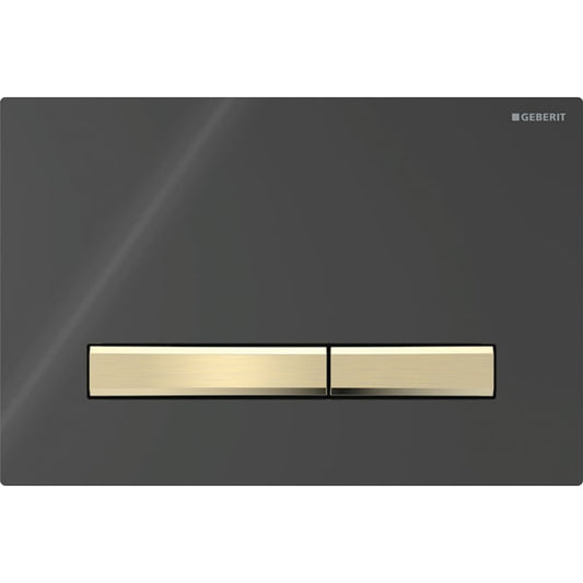 Geberit Sigma 50 with Dual Flush Actuator 115.672.DW.2 Black / Brass