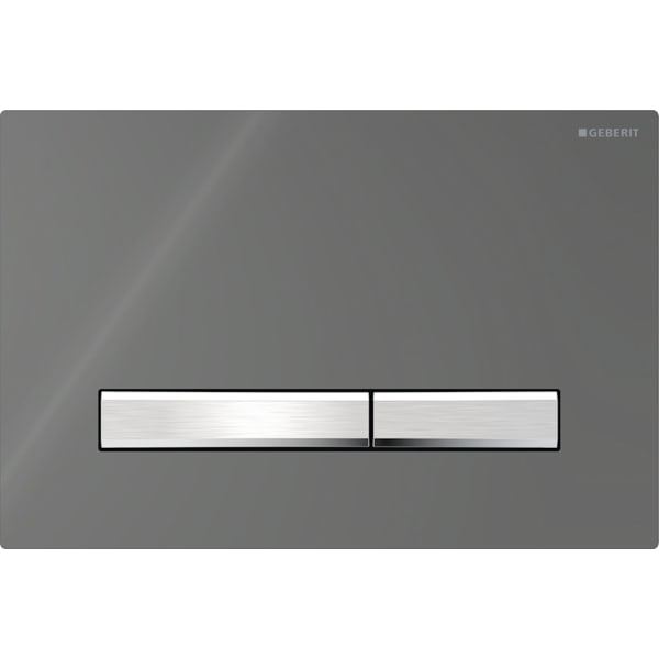 Geberit Sigma 50 with Dual Flush Actuator 115.788.SD.2 Smoked Glass Re?ective / Chrome (easy-to-clean)