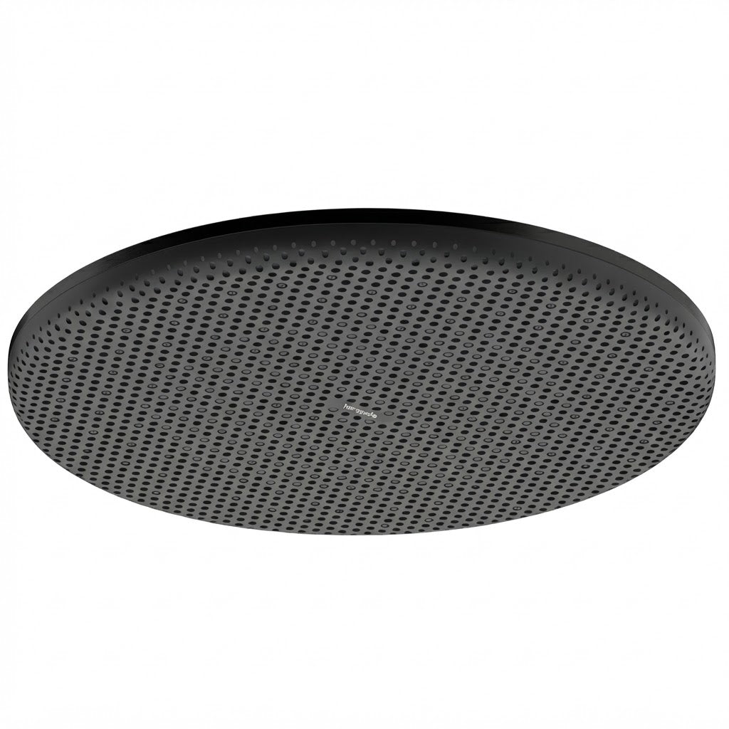 Hansgrohe Raindance Alive S Overhead Shower 300 1Jet Brushed Black Chrome 24520340