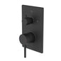 Bravat Arc Single Lever 2-Way Concealed Mixer P69193K-2-ENG + D982BW